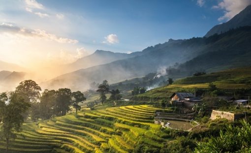 Vietnam-Sapa-Nature-Rice-field